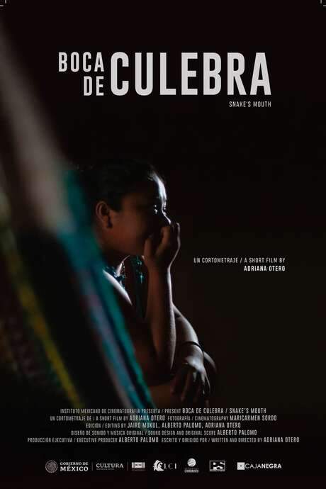 Located in southern Yucatán, the small Mayan community of Chicán (chi’kaan), meaning "Snake’s Mouth," is unique because its residents share surnames and are born with a distinctive trait. This documentary follows a local family, exploring their lives and the strength they demonstrate in upholding traditions. The film examines the pressures of maintaining the community’s customs and the possibility of breaking free from the established cycle.